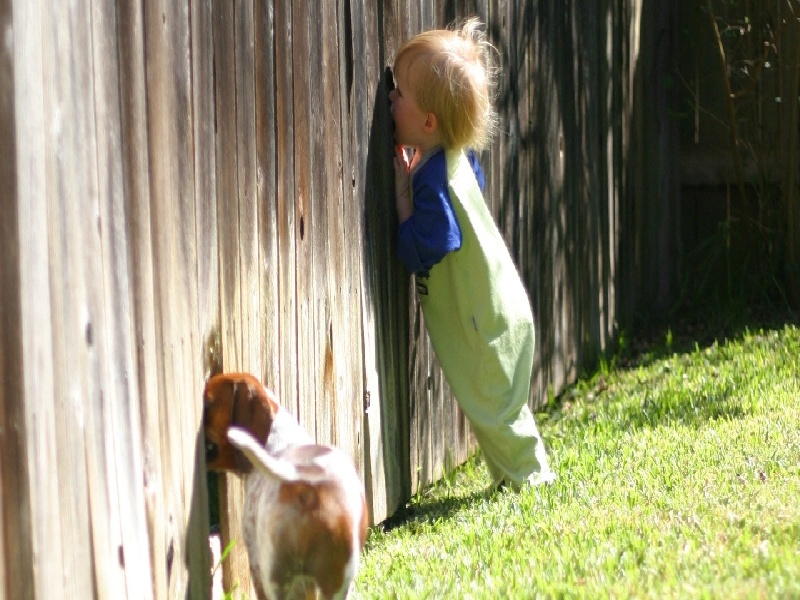 试管流产多久可以移植子宫周围粘连做试管坩埚钳加试管